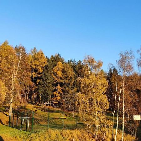Ferienwohnung Feriendomizil Am Hochwald Dippoldiswalde Exterior foto